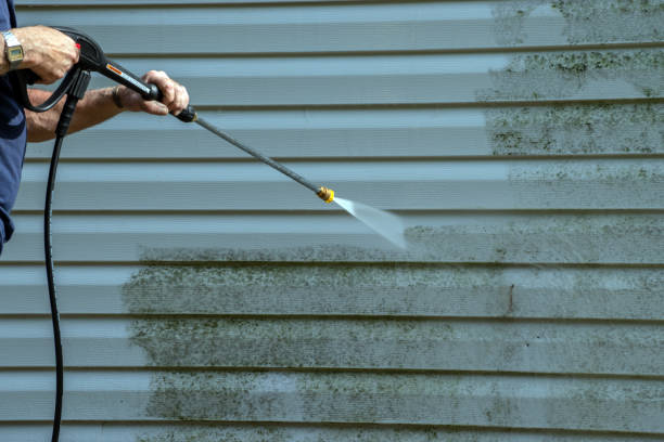 Best Pool Deck Cleaning  in St Bernard, OH